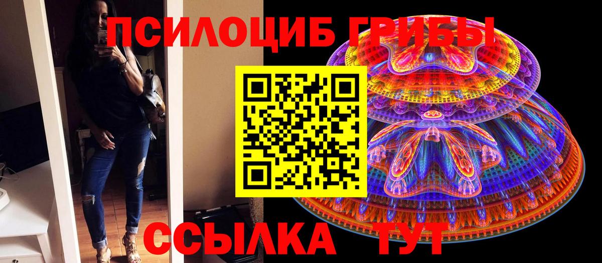 Туймазы  Псилоцибиновые грибы GOLDEN TEACHER  Псилоцибиновые грибы мицелий  Вход с VPN 