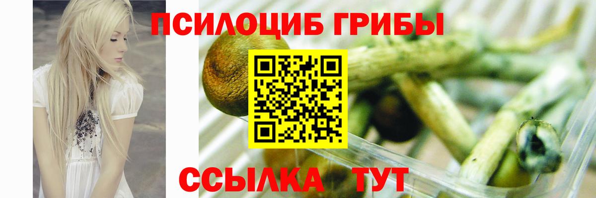 Псилоцибиновые грибы ЛСД Туймазы